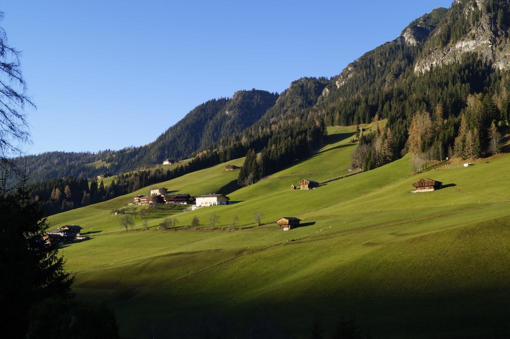 Hanslerfeld Alpbach Room photo
