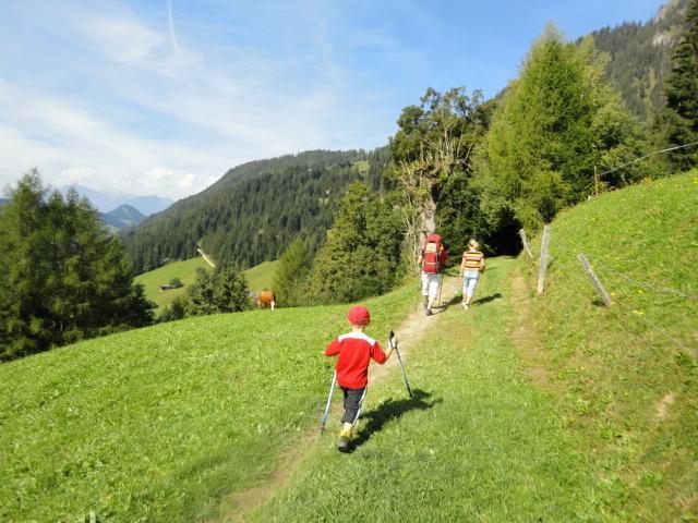 Hanslerfeld Alpbach Room photo