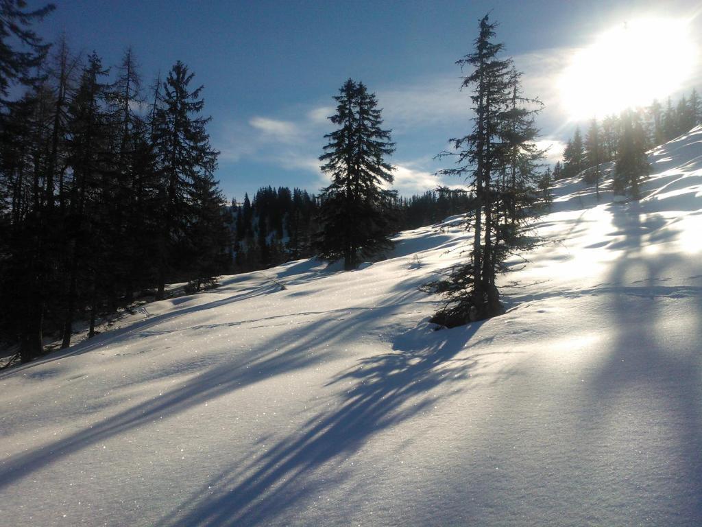 Hanslerfeld Alpbach Exterior photo