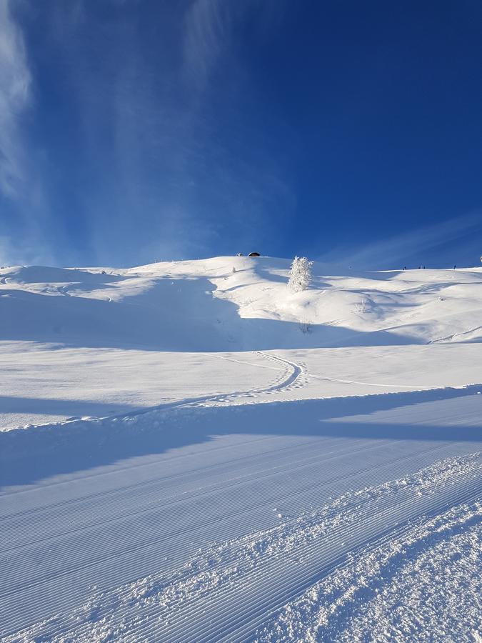Hanslerfeld Alpbach Exterior photo