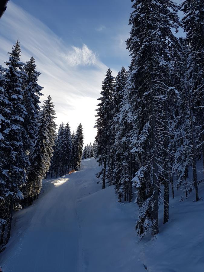 Hanslerfeld Alpbach Exterior photo