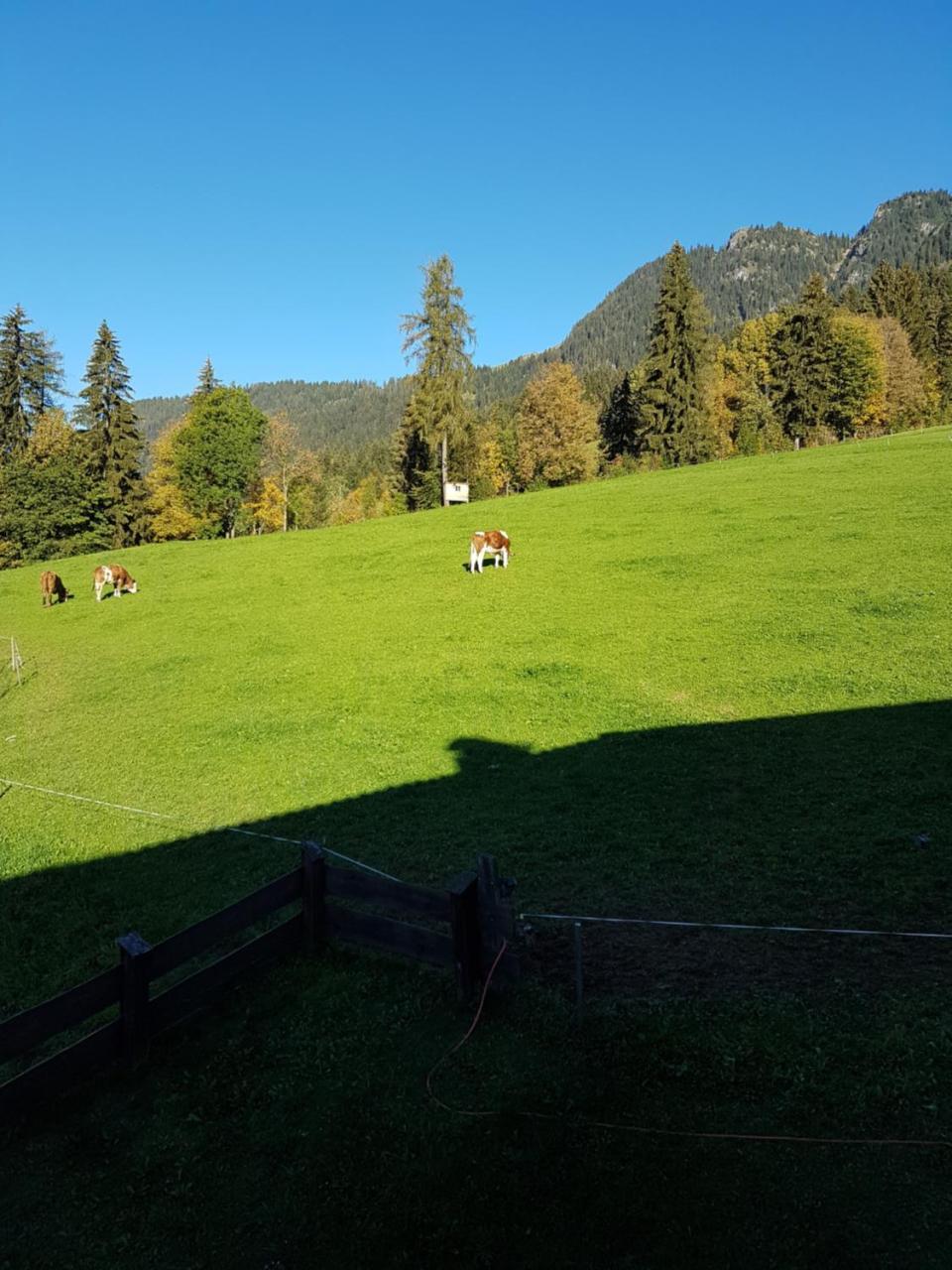 Hanslerfeld Alpbach Exterior photo
